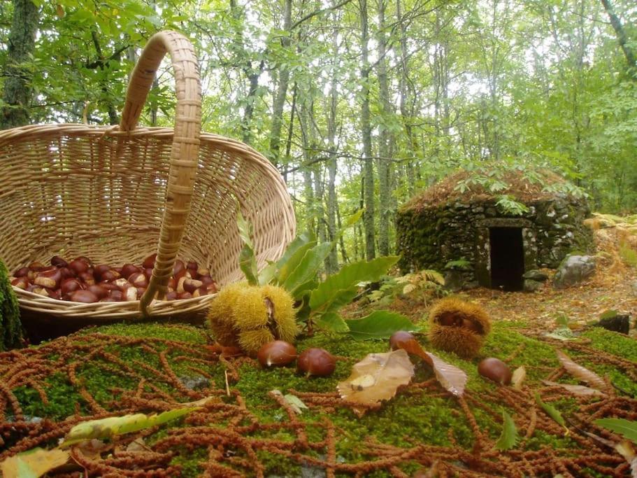 Casa Rural Margarita I Montanchez Bagian luar foto
